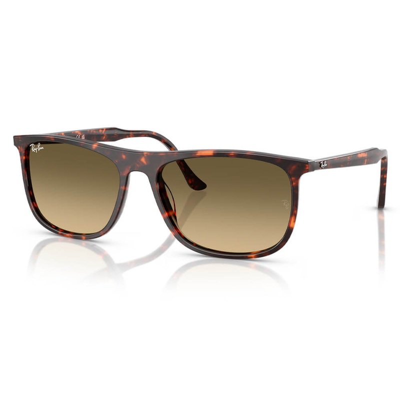 Ray-Ban RB2216 Sunglasses Polished Havana Red Turtle Brown Vintage Gradient Black
